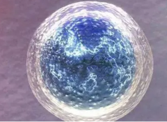 泰国试管费用全解析及优惠福利大放送！