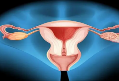 美国三代试管最新收费明细曝光，全面了解费用构成！