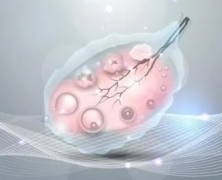 美国试管价格揭秘，助孕清单助你精打细算，理性评估费用！