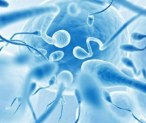 柬埔寨试管收费明细大揭秘，手术费用为何占据最大开销？