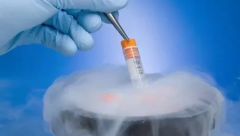 格鲁吉亚试管费用大揭秘：一文掌握全部花费，轻松了解预算需求！