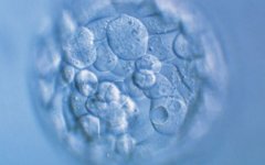 马来西亚试管费用包括哪些项目？如何选择合适的试管医疗机构？