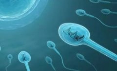 y精子分离术的原理，y精子分离术与三代试管的重要作用