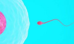 试管费用构成，马来西亚试管费用为什么这么贵？