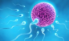 南医大二附院试管的成功率介绍及案例分享