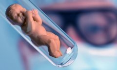 试管费用概述，马来西亚试管注意事项