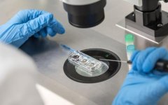 一文了解影响南通妇幼保健院供卵试管成功率因素及收费标准