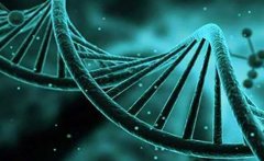泰国试管费用构成，如何选择合适的试管诊所？