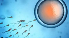 一文解析三代试管技术与传统试管技术对比