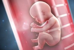 霸州市试管医院详细介绍，成功率和口碑对比一览