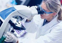 对比俄罗斯和日本试管技术，两国成功率都很高