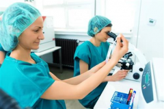 美国试管价格多少？详细费用预算供参考