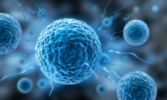 对比一代至三代试管技术，含价格等介绍