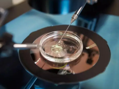 三代试管与普通试管对比，究竟好在哪？