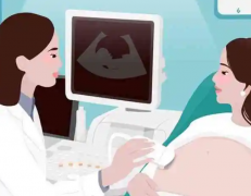 贵州借卵试管费用全面剖析，项目检查费与整体费用概览