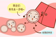 试管药物使用对胎儿的潜在影响及风险