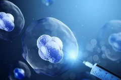 湖南三代试管移植成功率怎么样？哪些关键因素决定受孕率的升降？