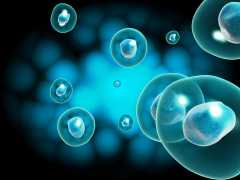 科学规划试管手术费用：策略性降低成本的途径深度解析