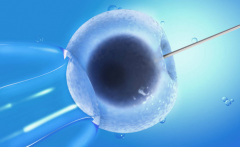 全球视野下的试管政策概览：各国规定、优劣势分析及前瞻建议