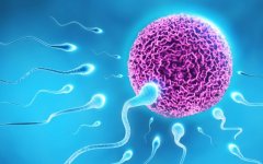 一文了解上海试管医院概况，如何判断一个试管医院的技术?