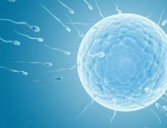 上海试管好医院的评判标准，上海试管医院推荐