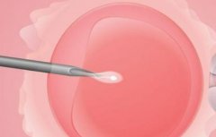 上海地区试管排名榜最新的医院详细介绍，综合权衡做出最佳选择