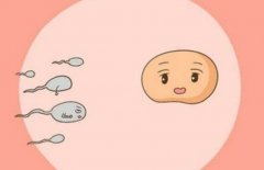 上海做试管最好的医院分析，如何选择适合自己的试管医院？