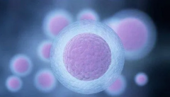 试管新篇章：三代技术下的胚胎发育挑战与应对策略