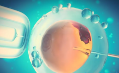 泰国试管新动态：流程简化，费用公布！