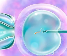 试管打夜针费用全解析：费用介绍与省钱秘籍