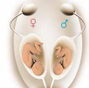 试管费用全解析，价格差异与大致预算