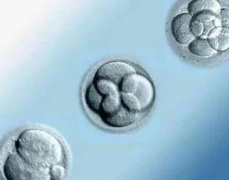 试管能否多次尝试？深入剖析多次尝试终获成功的原因