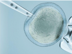 揭秘国内试管生'男'孩真实开销：亲历者分享，预算不迷茫！