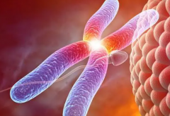 试管后能否重返职场？对职业生涯有何影响？