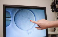 国内第三代试管价格公布：费用范围与详细解析