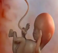 试管移植后出血全解析：原因、应对方法一文尽览，必看！