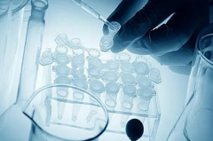 试管取精与取卵的最佳时间间隔：科学规划，附上专业建议