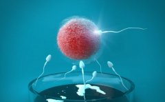 试管也存一些负面影响，需要谨慎对待