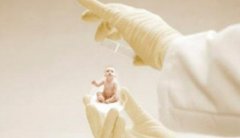 试管婴儿怀孕12周吃水果的争议,具有这些危害
