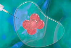 武汉三代试管收费项目全解析,助你明明白白消费