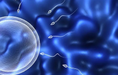 试管OR自然受孕？看完这篇你就知道怎么选了