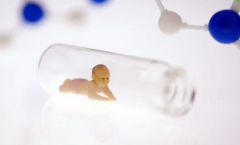 卵巢癌风险新视角：试管技术下的风险与预防