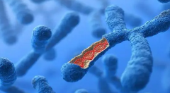 试管孩子会有问题吗？专家指导如何预防和解决