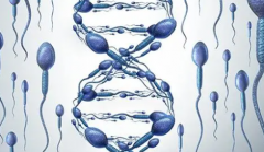 试管期间，女性抽烟究竟有何风险？