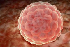 调节孕酮值，助力试管成功着床