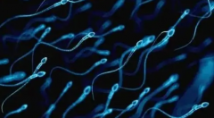 试管不再是梦！新疆专业机构五万起助您好孕！