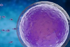 提升试管成功率秘籍：科学方法与实战经验大公开