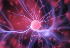 试管胚胎植入后：身体反应全解析与注意事项