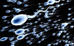 二筛费用揭秘，三代试管胚胎筛查的再次确认