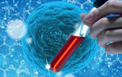 无精子挑战生育？试管技术带来希望